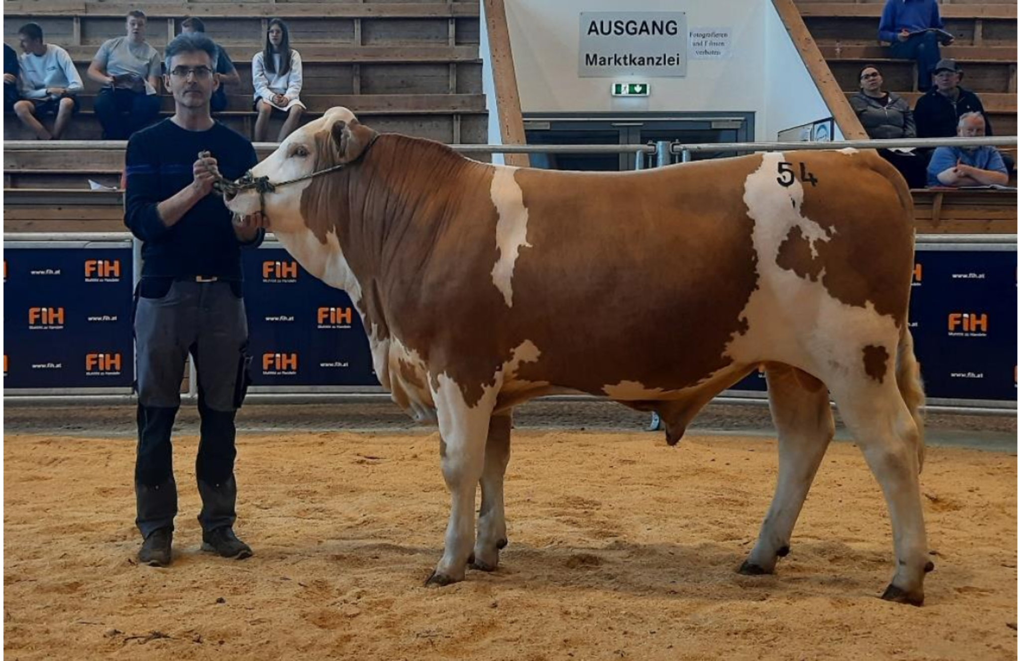 45093894 XXL