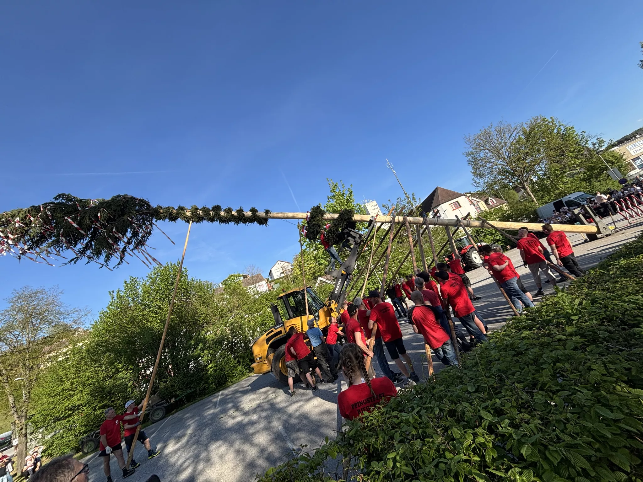 45096132 XXL